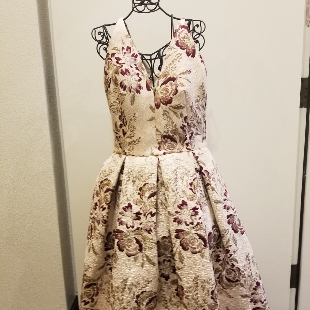 Dress the Population Cocktail Dress